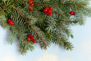 A decorative bouquet of Christmas tree branches collected in a mitten with cranberries on a blue background, powdered with snow. Winter bouquet, New Year's mood. Copy space, top view