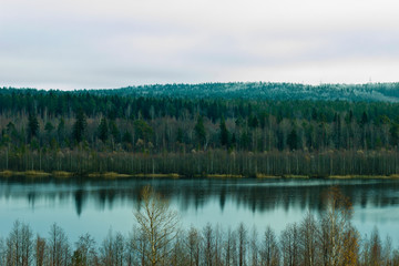 Fototapeta na wymiar autumn landscape of forest lake in cloudy weather