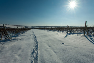 Beautiful winter landscape.