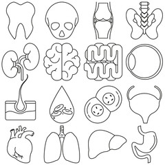 Icons of human organs in the style of lines