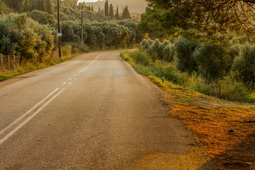 asphalt car road in country side village park outdoor environment space in evening time with sunset soft yellow and orange lights