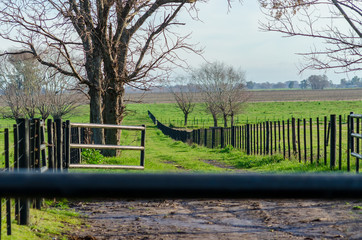 Fototapeta premium Countryside landscape in autumn with no foliage trees, green grass and pipe fences
