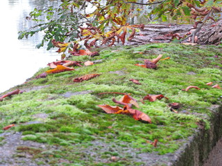 Braunschweig Germany