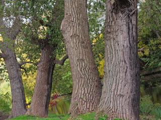 Braunschweig Germany