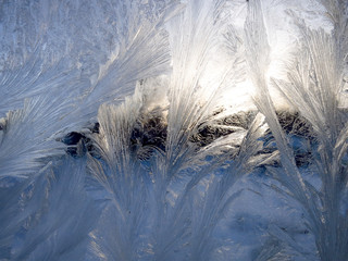 Frosty winter patterns on the glass. Horizontal background.