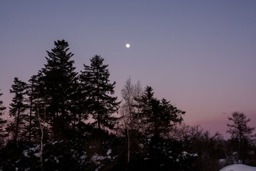 Naklejka premium 夕暮の空と月