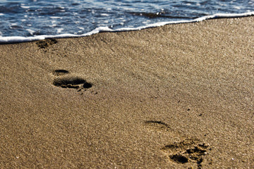 footprints in the sand by the sea