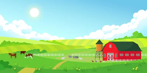 Fototapeten Bunte Bauernhof-Sommerlandschaft, blauer klarer Himmel mit Sonne, rote Scheune, Kuhherde, Landwirtschaft, flache Vektorgrafiken © MarySan