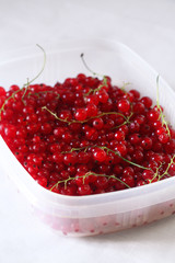 Fresh Red Currants in a light box, on white background. 