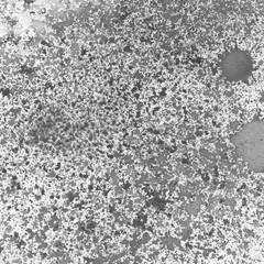 White and gray watercolor texture with abstract washes and brush strokes on white paper background. Trendy look. Chaotic abstract organic design.