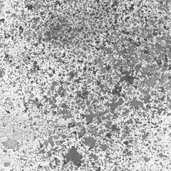 White and gray watercolor texture with abstract washes and brush strokes on white paper background. Trendy look. Chaotic abstract organic design.