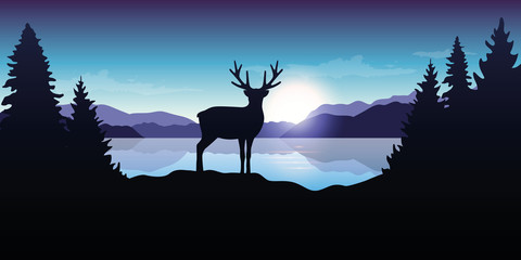 reindeer by the lake at sunrise blue wildlife nature landscape vector illustration EPS10
