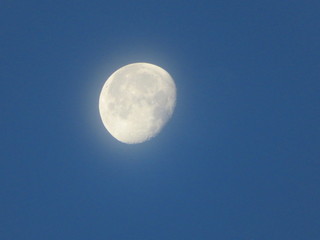 Naklejka na ściany i meble nearly full moon in the sky