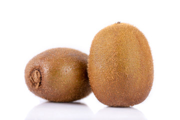 kiwi fruit isolated on white background
