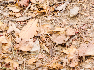 Seoraksan National Park in autumn, Gangwon, South Korea