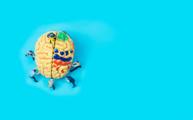 Miniature people :Miniature model with Human senior brain model on blue background.Concept for...