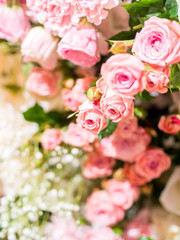 rose flowers decorations in love valentine day