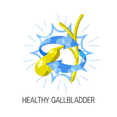 Healthy gallbladder concept, vector illustration