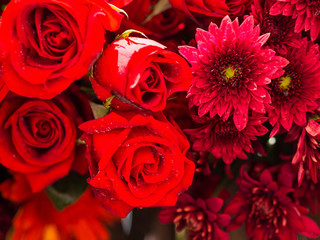 rose flowers decorations in love valentine day