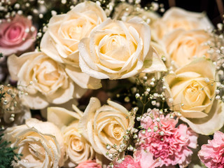 rose flowers decorations in love valentine day