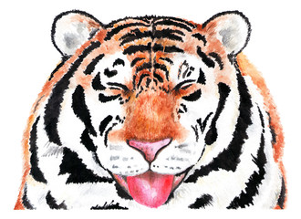 Portrait of tiger. Watercolor illustration.
Tiger smiling at the camera. The animal enjoys life. Illustration for design, decor.