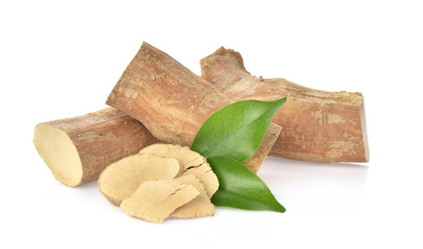  Eurycoma longifolia  on white background.