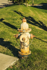 Fototapeta na wymiar Neighborhood Fire Hydrant With Grass Behind