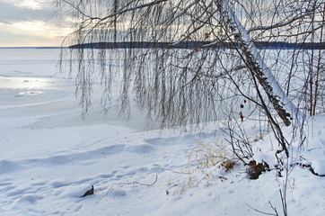 The shore of Vyazovy island and frozen lake Uvildy in Chelyabinsk region in winter in cloudy weather. Russia