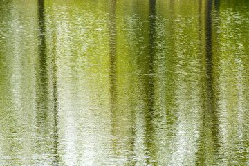 Shade tree reflection in water - tranquil background