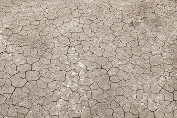 crack soil texture in summer. from global climate