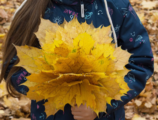 Bouquet of yellow leaves at girl hands