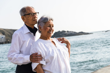 Senior couple embracing each other on the beach on a sunny day