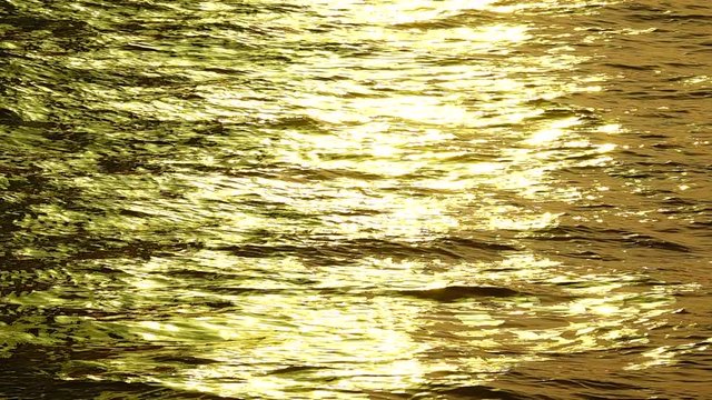 4K golden collor water natere texture backgound