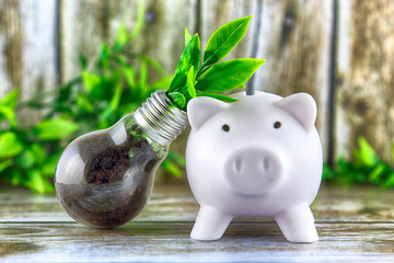 Piggy bank and plant growing inside the light bulb. Green eco energy concept. Electricity prices, energy saving.