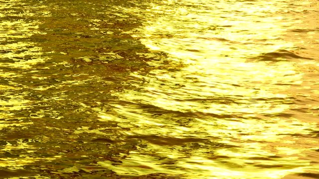  4K golden collor water natere texture backgound