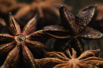 brown badian close up