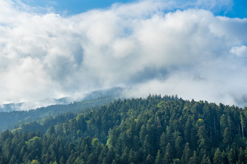 Naklejka premium Germany, Enchanted black forest mountains covered by foggy clouds in sunshine