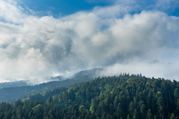 Germany, Cloudy blue sky and sun in black forest nature landscape in mystic mood