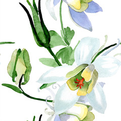 White aquilegial. Floral botanical flower. Wild spring leaf. Seamless background pattern. Fabric wallpaper print texture. Watercolor background illustration set.