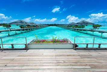 tropical beach in Maldives with few palm trees and blue lagoon