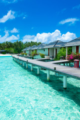 tropical beach in Maldives with few palm trees and blue lagoon