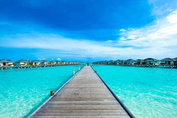 Naklejka premium tropical beach in Maldives with few palm trees and blue lagoon