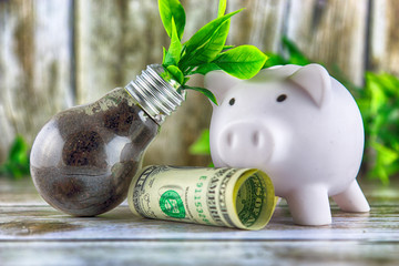 Piggy bank, one dollar banknote and plant growing inside the light bulb. Green eco energy concept. Electricity prices, energy saving.
