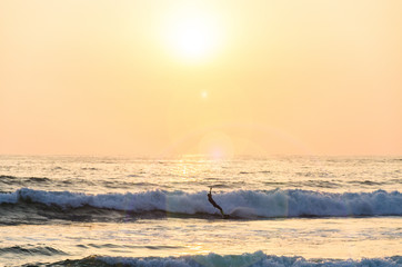 Fototapeta na wymiar Surfing at Sunset. Young Man Riding Wave at Sunset. Outdoor Active Lifestyle.