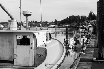 Willapa River Waterfront No. 4, South Bend, Washington, 2018