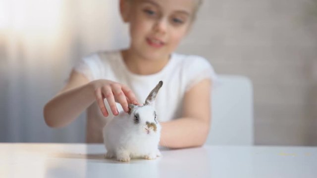 Adorable girl tenderly stroking little fluffy bunny and smiling, child happiness