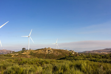 wind turbines in the field