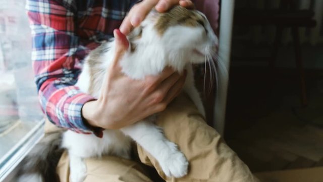 A man stroking a cat on his knees