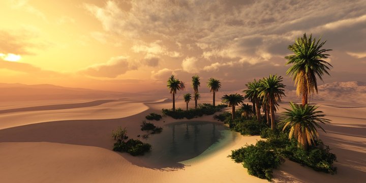 Oasis at sunset in a sandy desert, a panorama of the desert with palm trees
