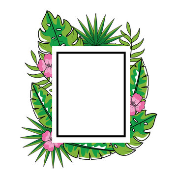 squeare emblem with tropical leaves plants and flowers